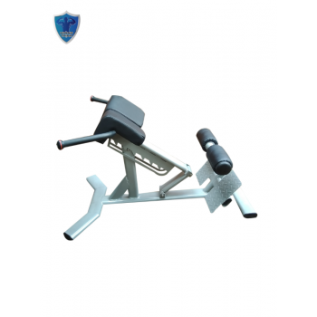 GHẾ TẬP LƯNG XK 125