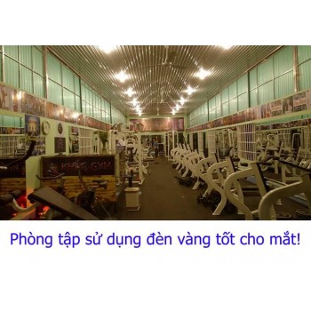 BÁN PHÒNG TẬP CŨ